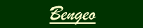 About Bengeo